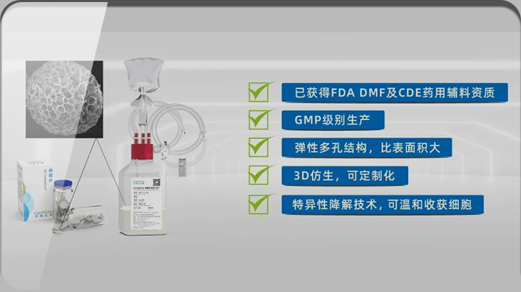 在孵企业 | 华龛生物3D TableTrix® 微载体再获【FDA-DMF Ⅱ型】资质备案