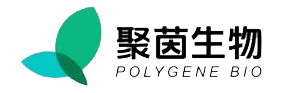 微信图片_2026-06-30_111243_815.png